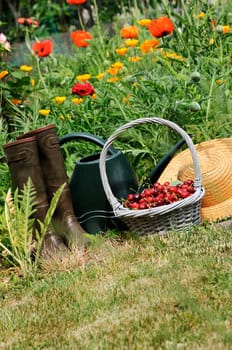 basket of cherries and straw hat in a flower garden