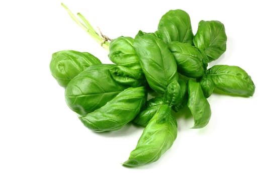 Basil as a bunch