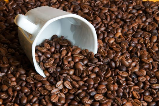 Coffee time
