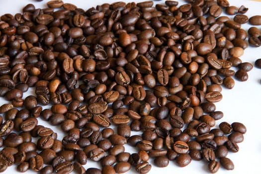 Fancy a bean?