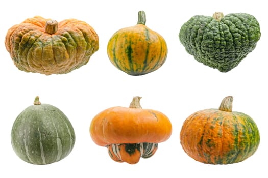 Miscellaneous pumpkins isolated on white background. Both pumpkins are ecological and natural, grew in rural garden.
