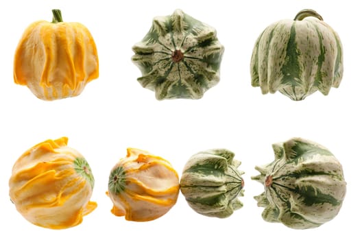 Miscellaneous pumpkins isolated on white background. Both pumpkins are ecological and natural, grew in rural garden.