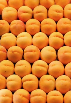 Fresh natural apricot for background