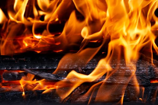 Abstract detail of the fire and flames - detail