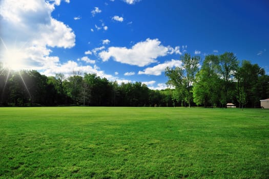 A lush green park on a bright sunny day
