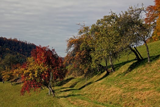 On a slope