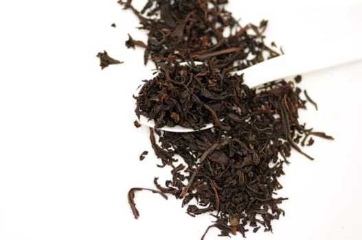 A spoon full of freshly processed tea leaves