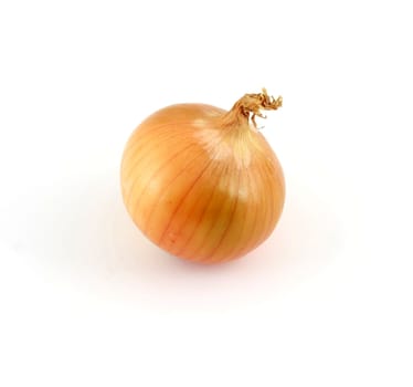 Onion against a white background