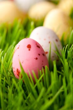 Close-up of pastel colored Easter eggs on grass