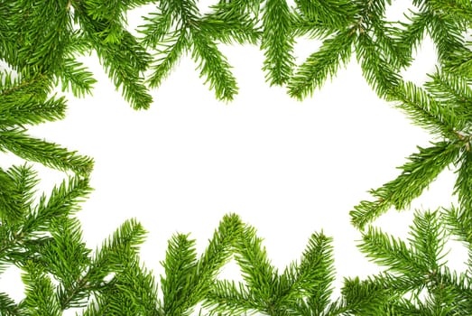 Fir branches form a Christmas frame on white