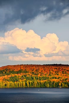Forest of colorful autumn trees with lake and dramatic sky