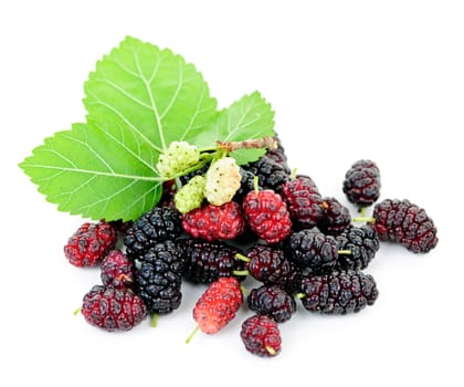 Fresh ripe mulberry berries with leaves isolated on white background