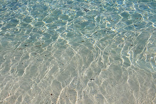 Water
