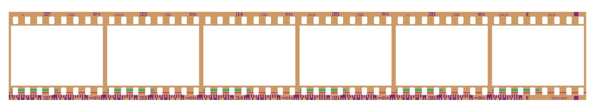 35mm negative frames, with details and accurate dimension. Realistic look.