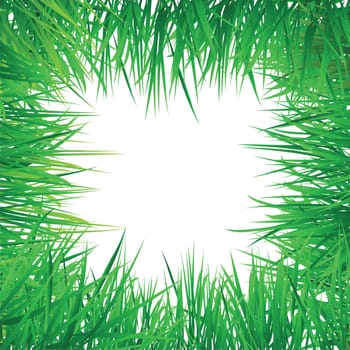vector grass border, put your image or text at the center.