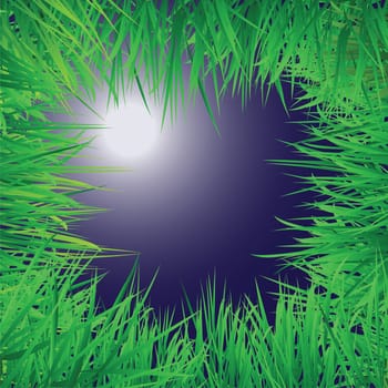 night scene with a view point below grass field.