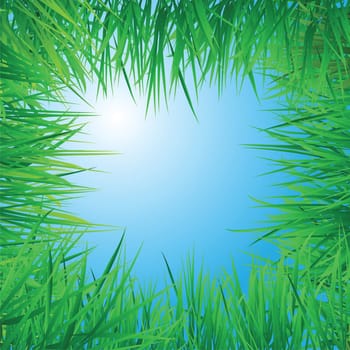 to illustrate a viewpoint from under the grass field. vector format.