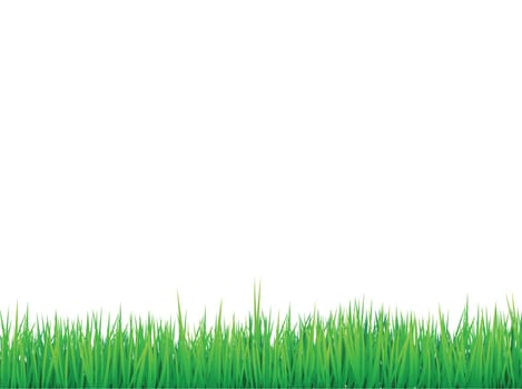 grass borders background, vector can be arranged for seamless effect