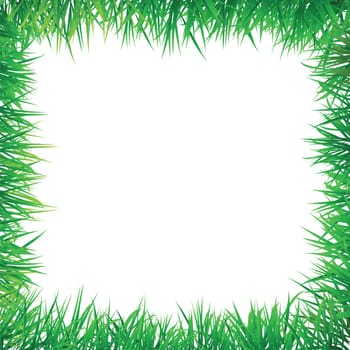 grass decorative border, for green and natural concept.