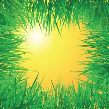 to illustrate a viewpoint from under the grass field with sunrise background