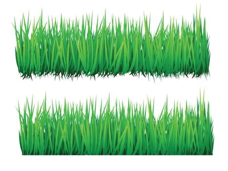 grass illustrations for decorative frames or borders