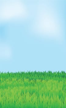 landscape, blue sky and green field, vector.