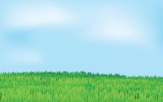 landscape with green field and blue sky in horizontal view, vector.