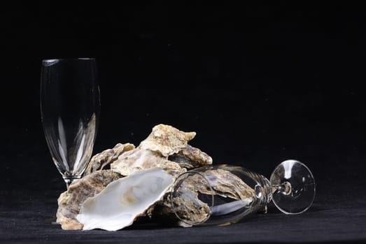 oysters
