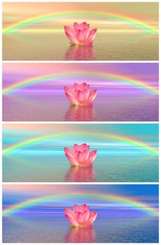 Set of different colors of pink lily flowers on water and under rainbow