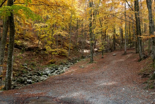 autumn on the passage of the mouth in genoa
