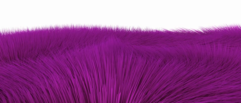 Purple Fibers - Clipped 02