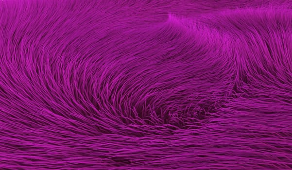 Swirl in purple fur - background