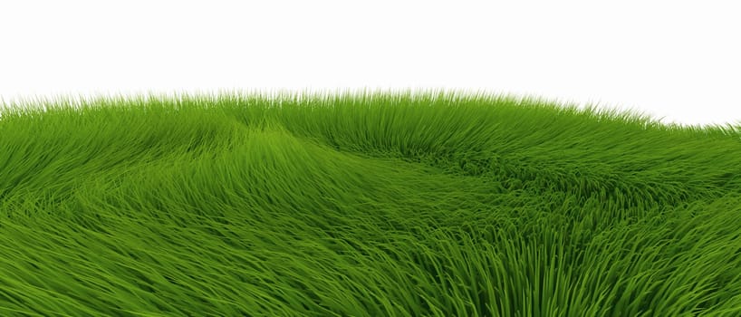 Green Fur Against White Background 02