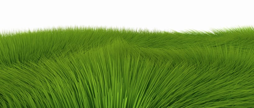 Green fur against a white background 01