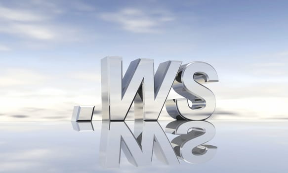 Top-level domain .ws