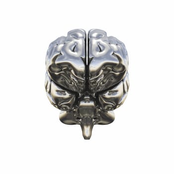 Chrome Brain - Frontal View
