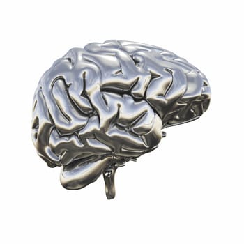 Chrome Brain - View Left