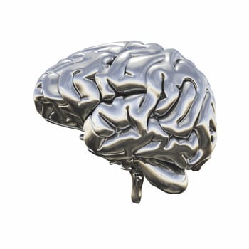 Chrome Brain - Right view