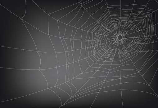 a vector illustrations of spider web, with copy space. lines are not expanded so the thickness can be adjusted easily.