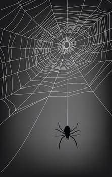 spider web illustration, for background.