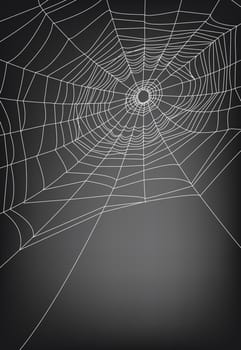 spider web illustration, for background.
