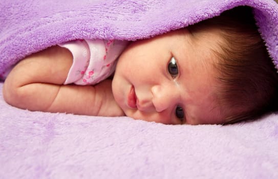 baby portrait