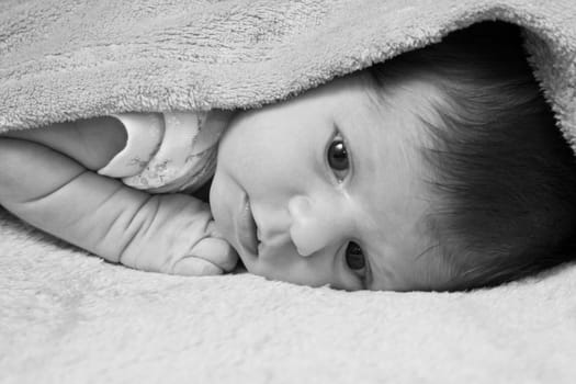 baby portrait