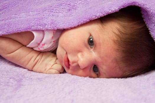 baby portrait