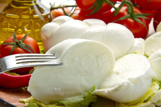a fresh italian mozzarella  with tomato