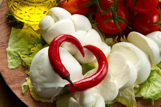 a fresh italian mozzarella  with tomato