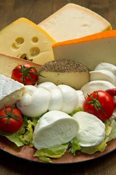 Various types of cheese on wooden board