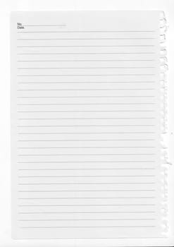 tore page from a notebook, isolated on white.