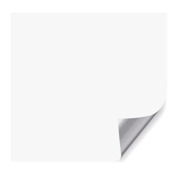 realistic paper page with corner curl effects.