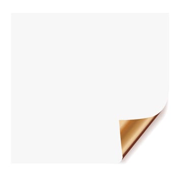 realistic paper page with corner curl effects.